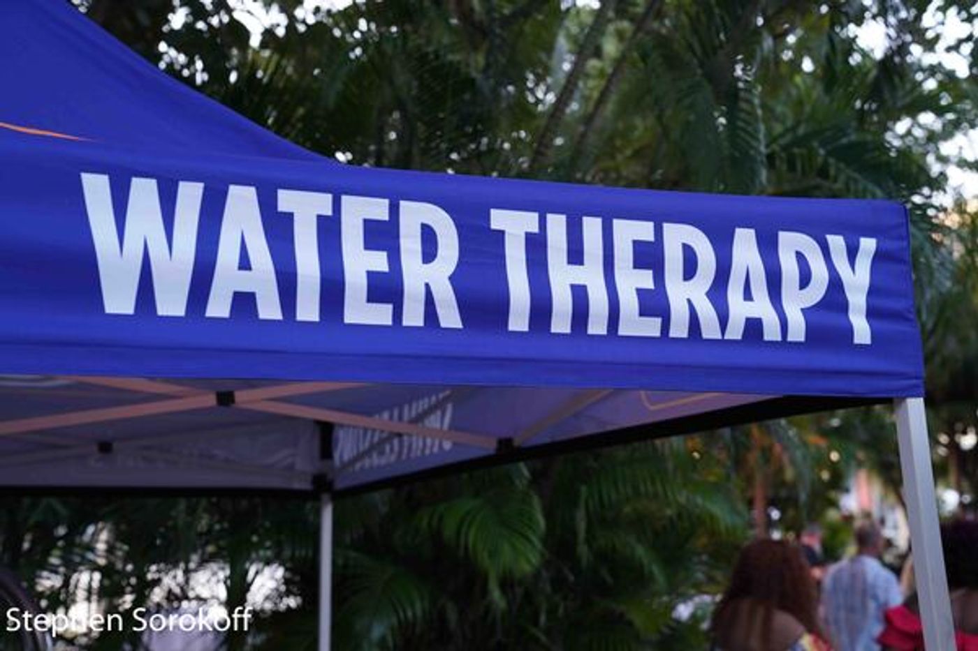 Photos: AMERICAN IDOL Finalist Elliott Yamin Heads First Responders Appreciation Concert  Image