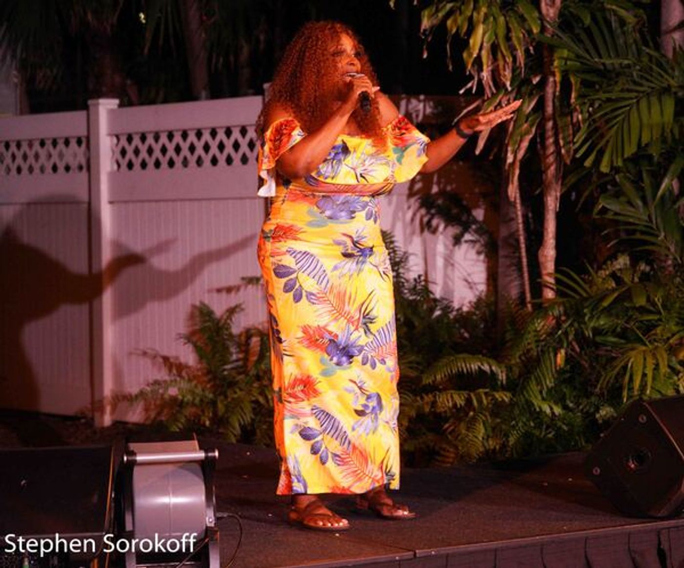 Photos: AMERICAN IDOL Finalist Elliott Yamin Heads First Responders Appreciation Concert  Image