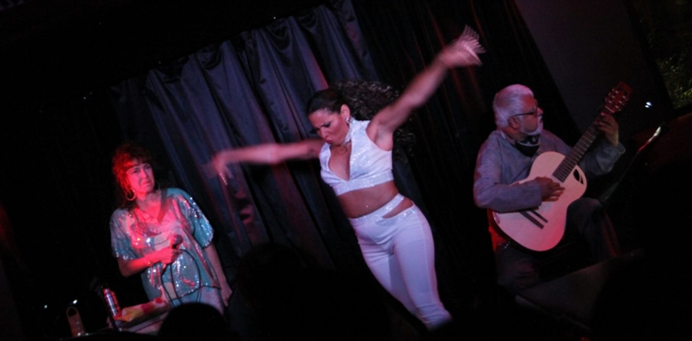 Review: Joanie Pallatto MY ORIGINAL PLAN UNPLUGGED at Pangea Is Essential Cabaret Viewing  Image