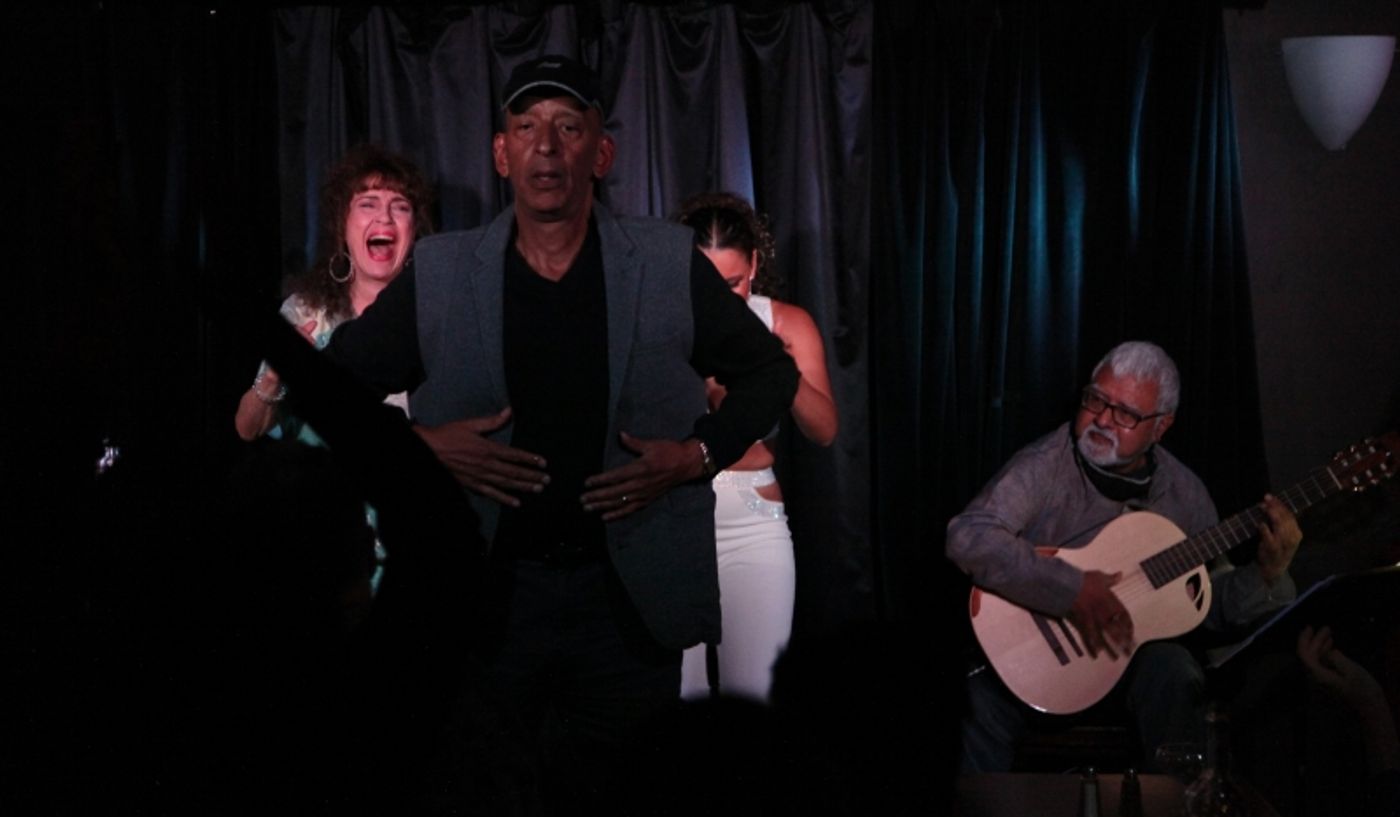 Review: Joanie Pallatto MY ORIGINAL PLAN UNPLUGGED at Pangea Is Essential Cabaret Viewing  Image