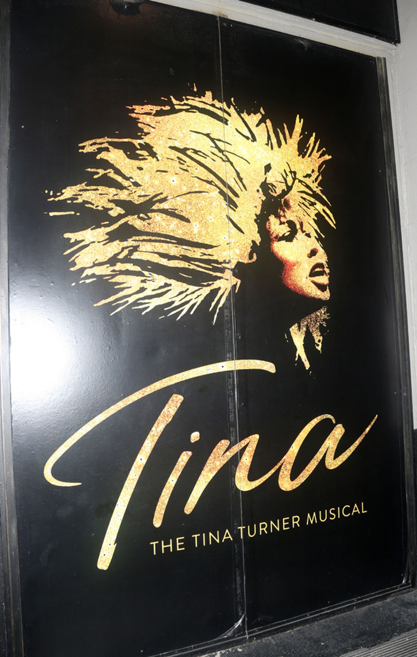 Photos: Tony Winner Adrienne Warren Leads TINA Back to Broadway  Image