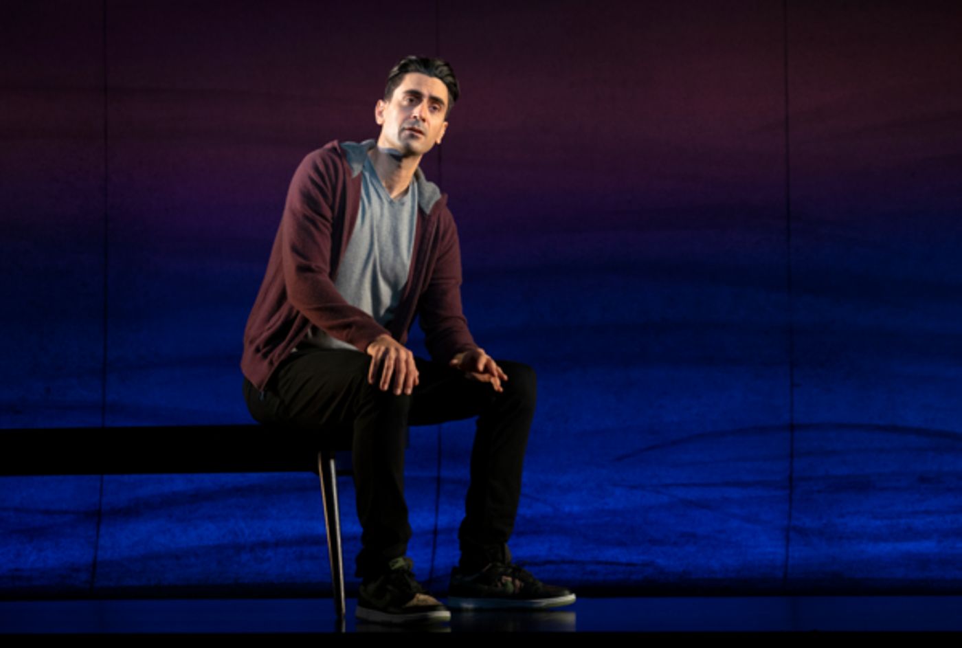 Photos: Second Stage Theater's LETTERS OF SURESH Opens Tonight  Image