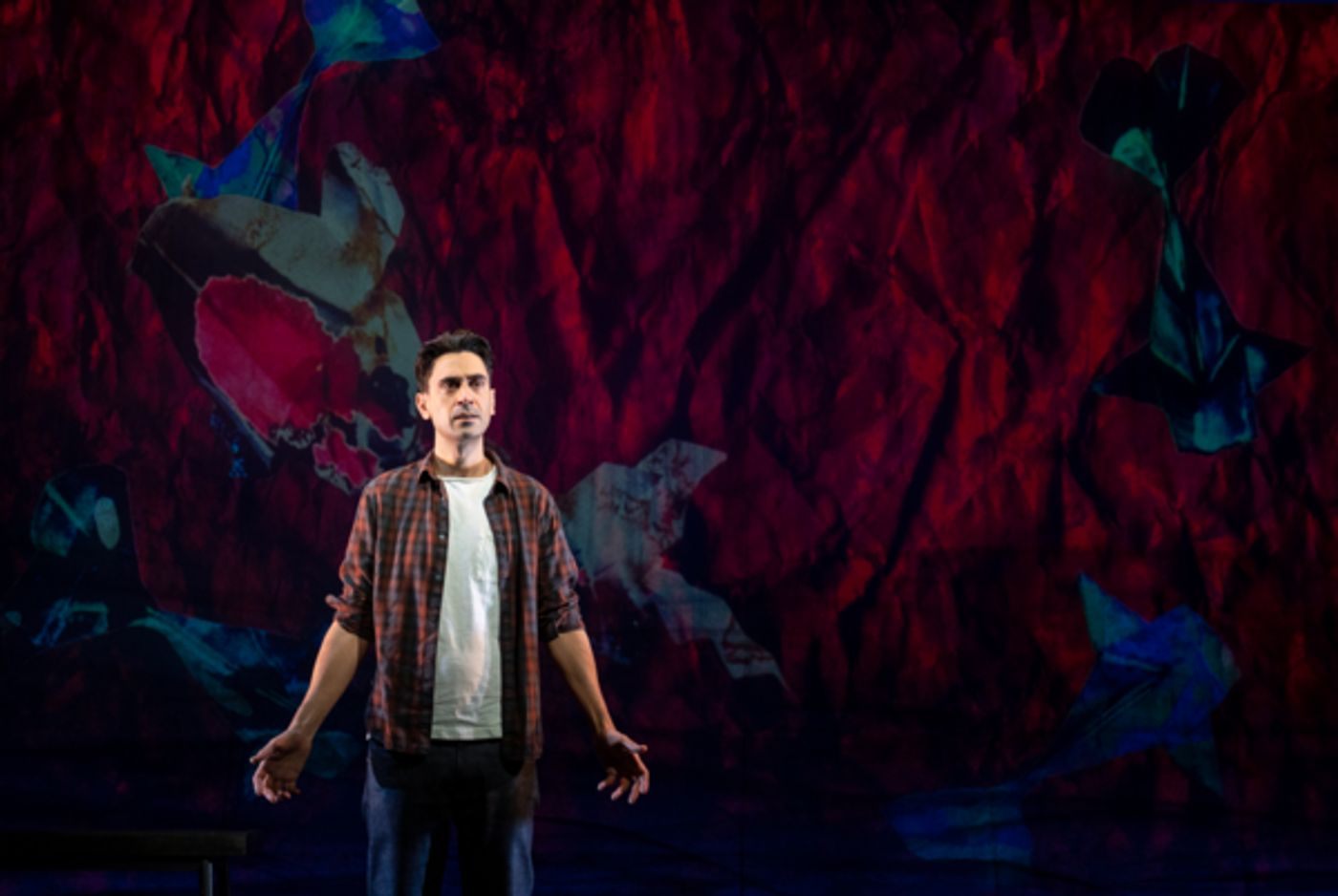 Photos: Second Stage Theater's LETTERS OF SURESH Opens Tonight  Image