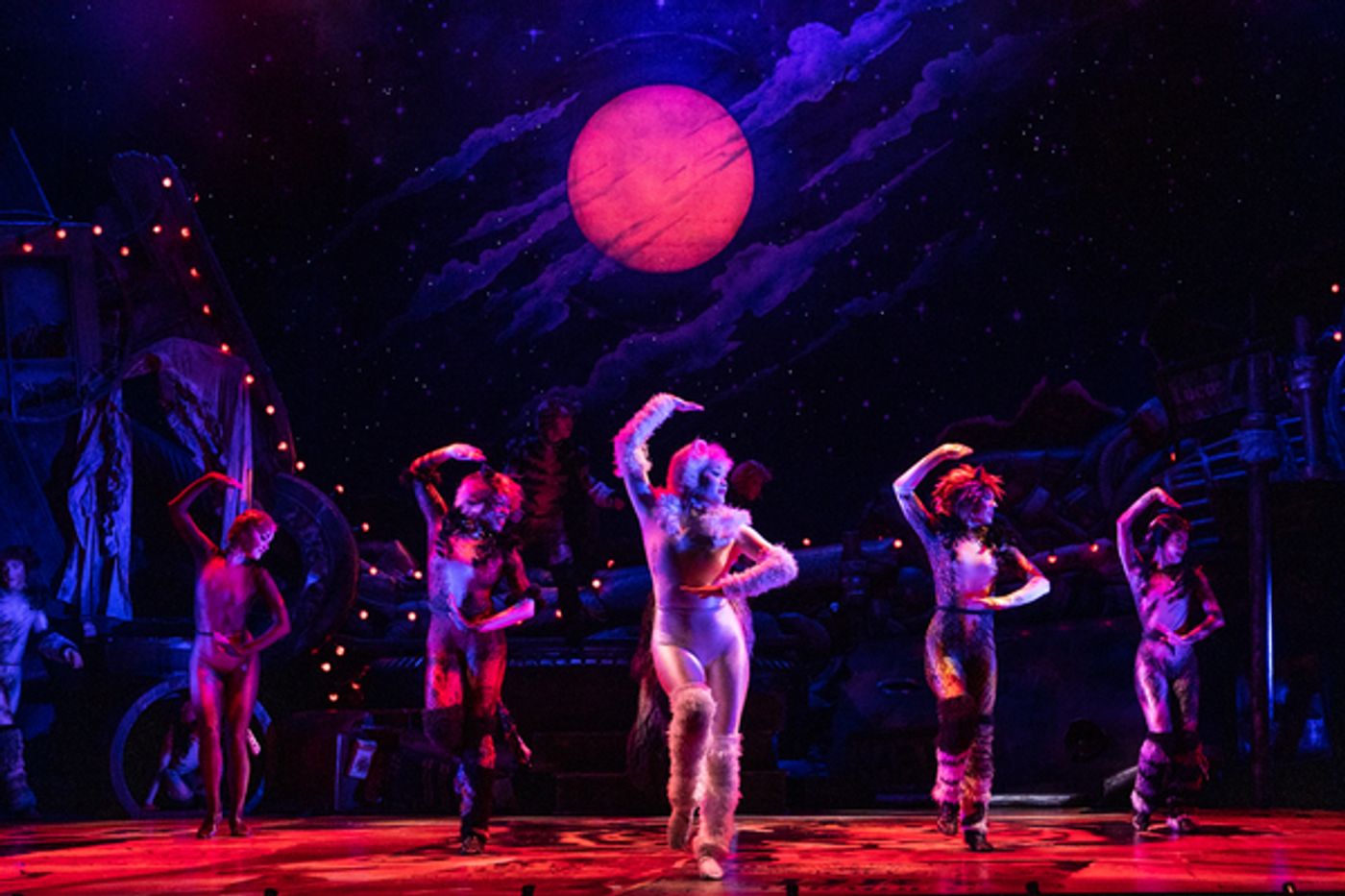 Photos: First Look at the New Company of CATS On Tour  Image