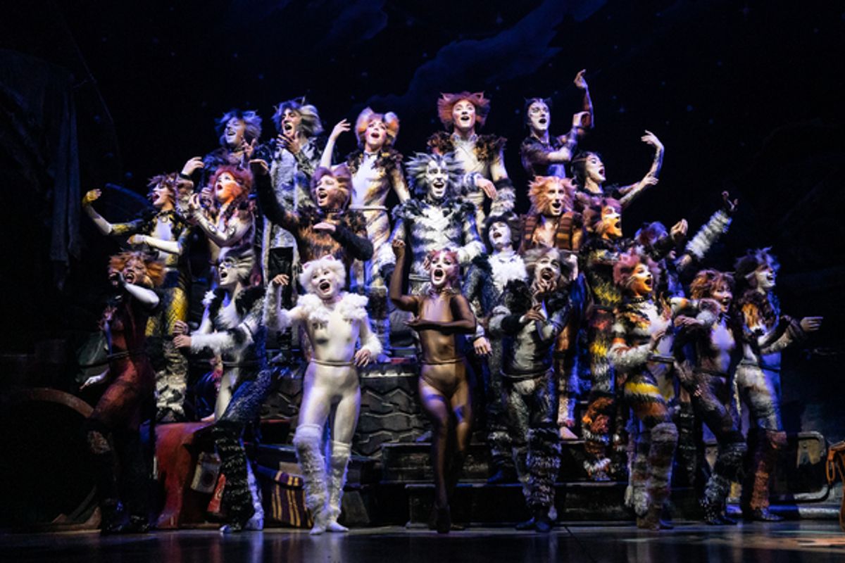 The Company of CATS at Photos: First Look at the New Company of CATS On Tour