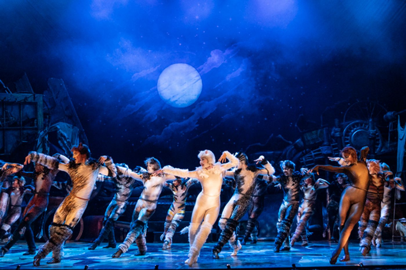 Photos: First Look at the New Company of CATS On Tour  Image