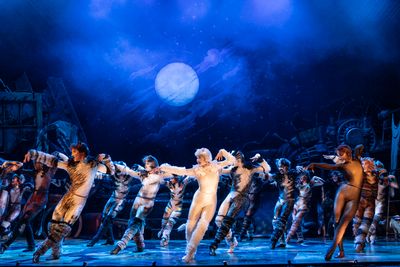 The Company of CATS Photo