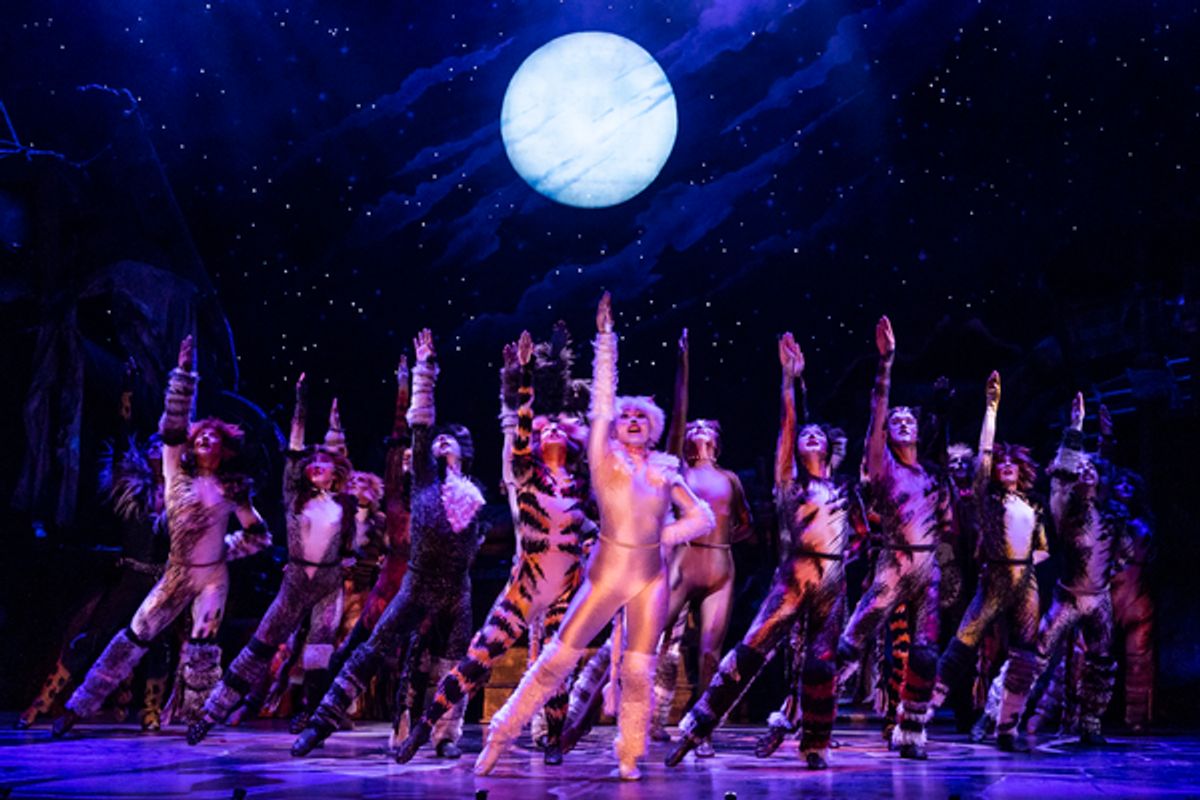 The Company of CATS at 
