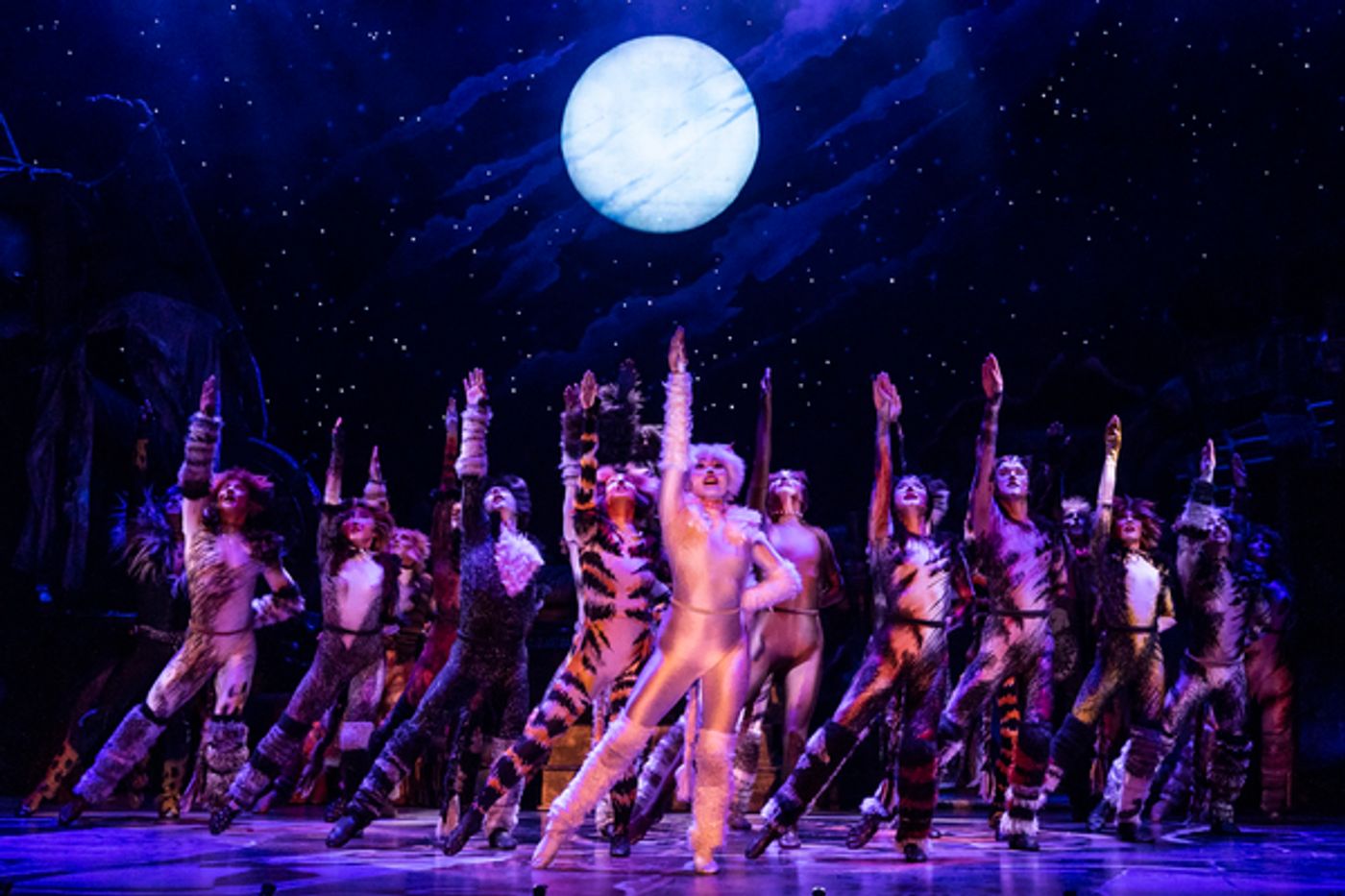 Photos: First Look at the New Company of CATS On Tour  Image