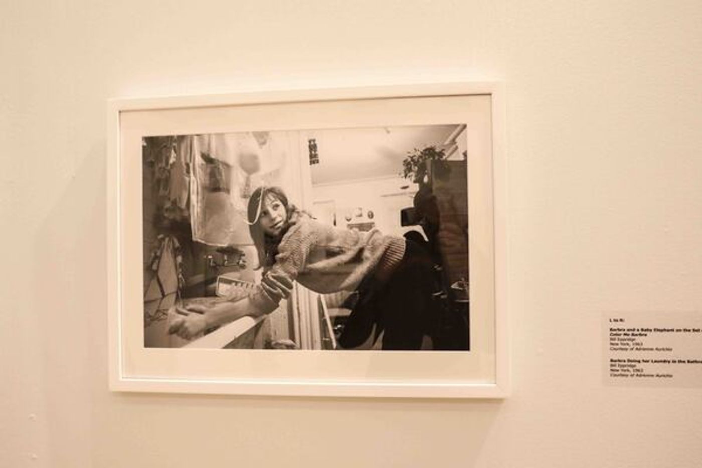 Photo Coverage: Barbra Streisand Exhibition Opens in the Jewish Museum of Florida-FIU  Image