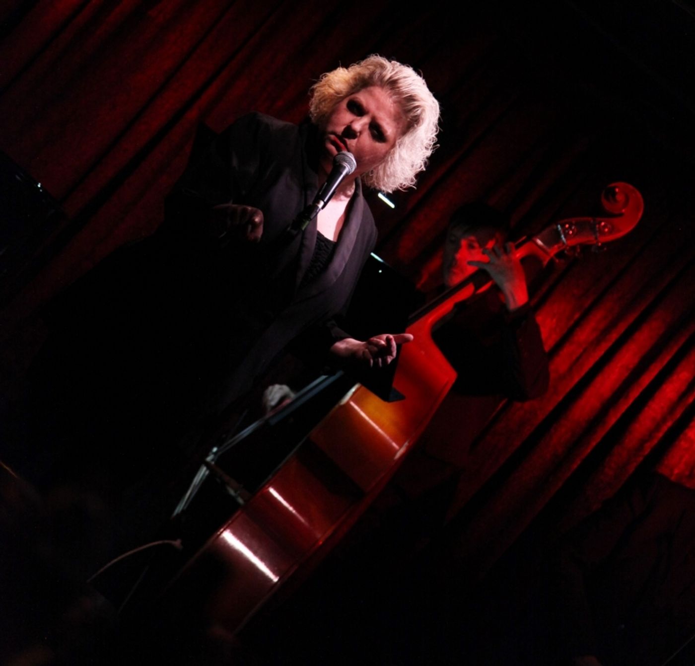 Review: Tanya Moberly Sets The Standard With I LOVE NEW YORK SONGWRITERS PART II at Don't Tell Mama  Image