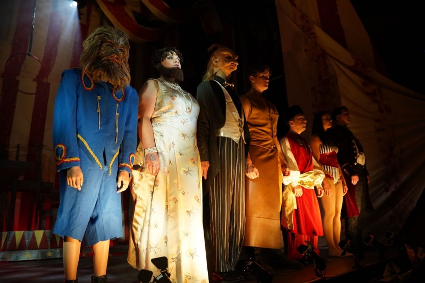 Review: SIDE SHOW at The Henegar Center  Image