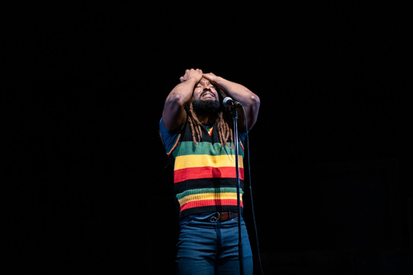 Photos: First Look at the Cast of GET UP, STAND UP! THE BOB MARLEY MUSICAL  Image
