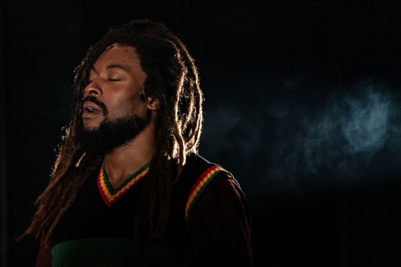 Photos: First Look at the Cast of GET UP, STAND UP! THE BOB MARLEY MUSICAL  Image