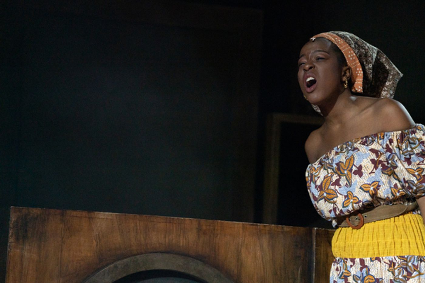 Photos: First Look at the Cast of GET UP, STAND UP! THE BOB MARLEY MUSICAL  Image