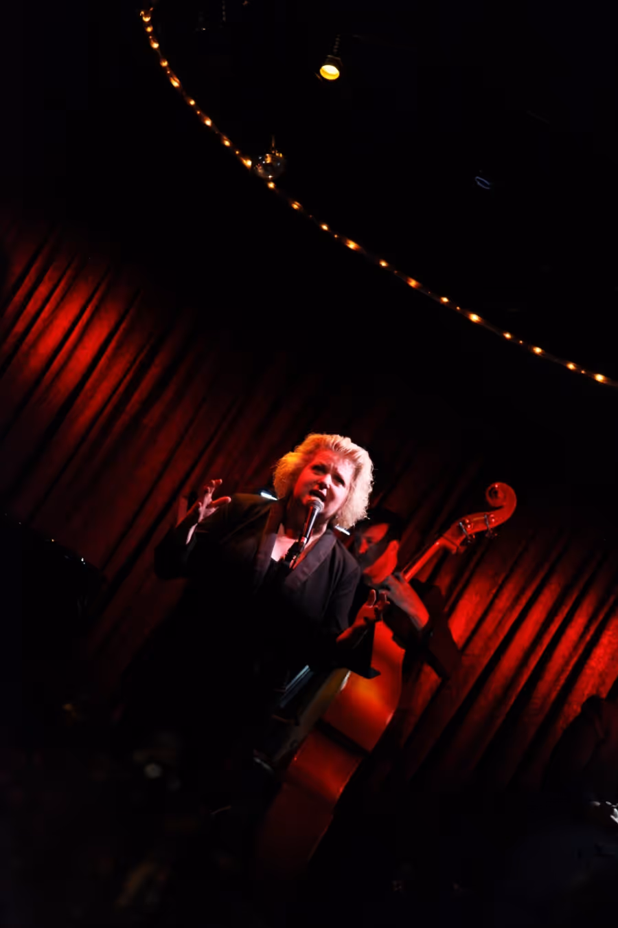 Review: Tanya Moberly Sets The Standard With I LOVE NEW YORK SONGWRITERS PART II at Don't Tell Mama Image