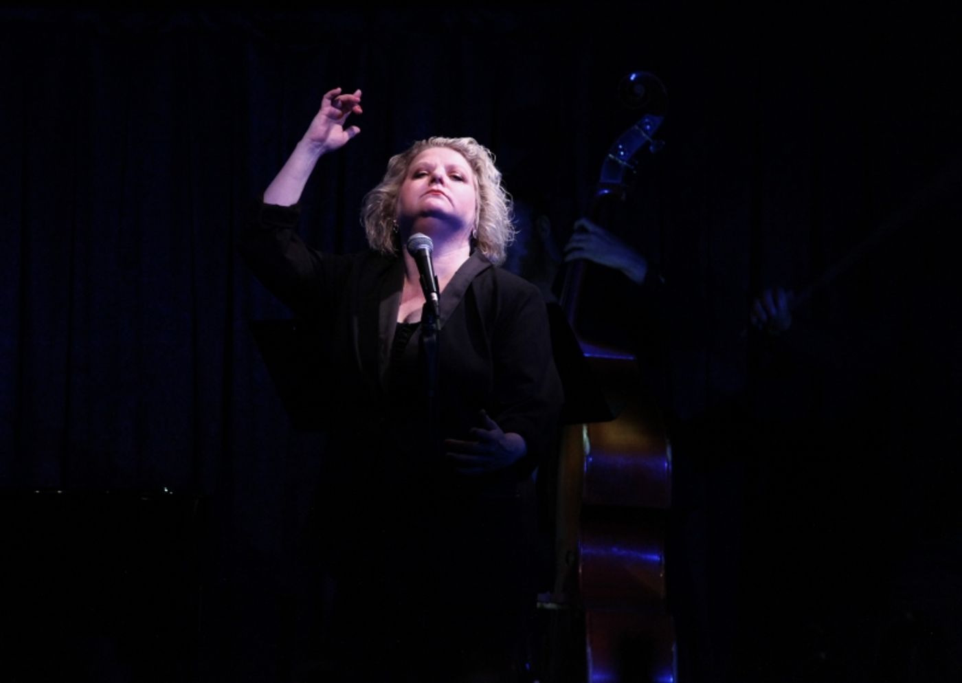 Review: Tanya Moberly Sets The Standard With I LOVE NEW YORK SONGWRITERS PART II at Don't Tell Mama  Image