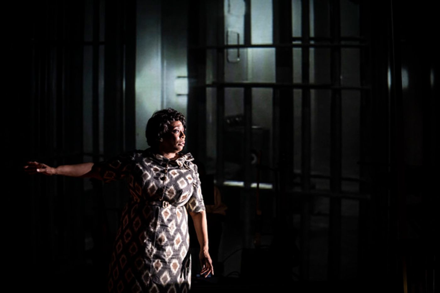 Photos: First Look at FANNIE at Goodman Theatre Photos: First Look at FANNIE at Goodman Theatre Image