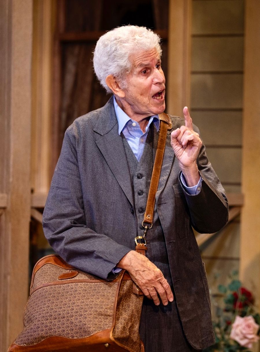 Photos: Lindsay Crouse, Alma Cuervo, Judith Ivey & More Star in MORNING'S AT SEVEN Opening at Theatre at St. Clements Image