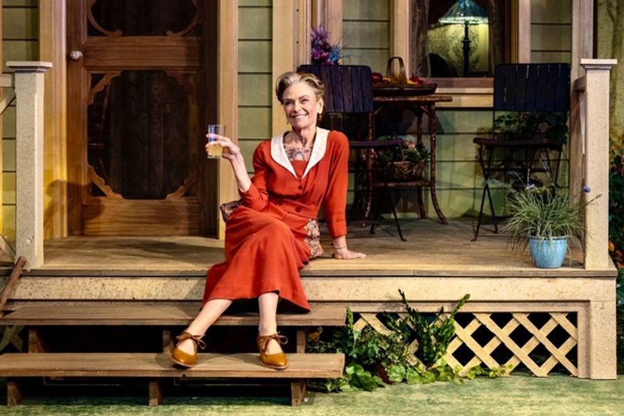 Photos: Lindsay Crouse, Alma Cuervo, Judith Ivey & More Star in MORNING'S AT SEVEN Opening at Theatre at St. Clements Image