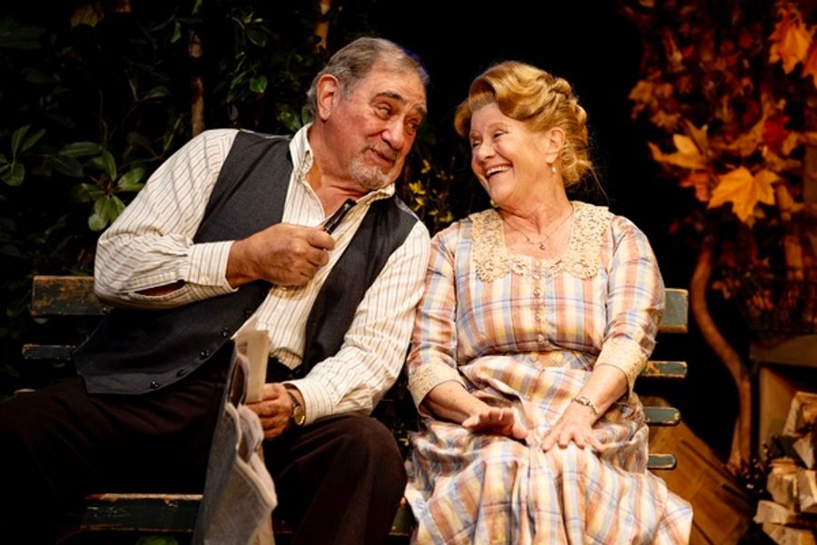 Photos: Lindsay Crouse, Alma Cuervo, Judith Ivey & More Star in MORNING'S AT SEVEN Opening at Theatre at St. Clements Image