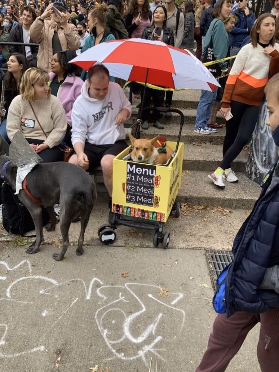 Student Blog: My Favorite NYC Halloween Event, The Halloween Dog Parade Image