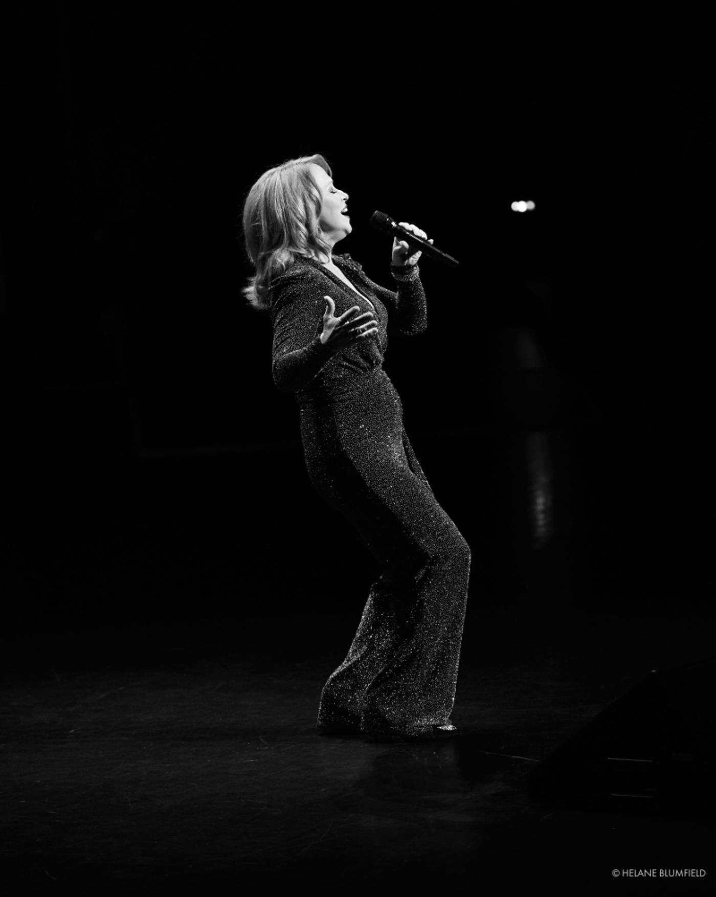 Photo Flash:  Helane Blumfield's Camera Captures THE MELODY LINGERS ON, The 2021 Cabaret Convention at Rose Hall  Image