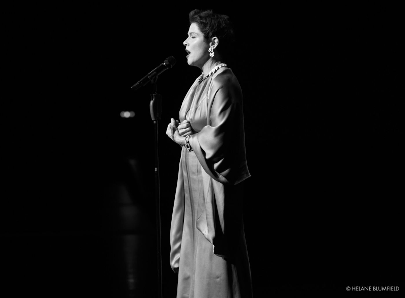 Photo Flash:  Helane Blumfield's Camera Captures THE MELODY LINGERS ON, The 2021 Cabaret Convention at Rose Hall  Image