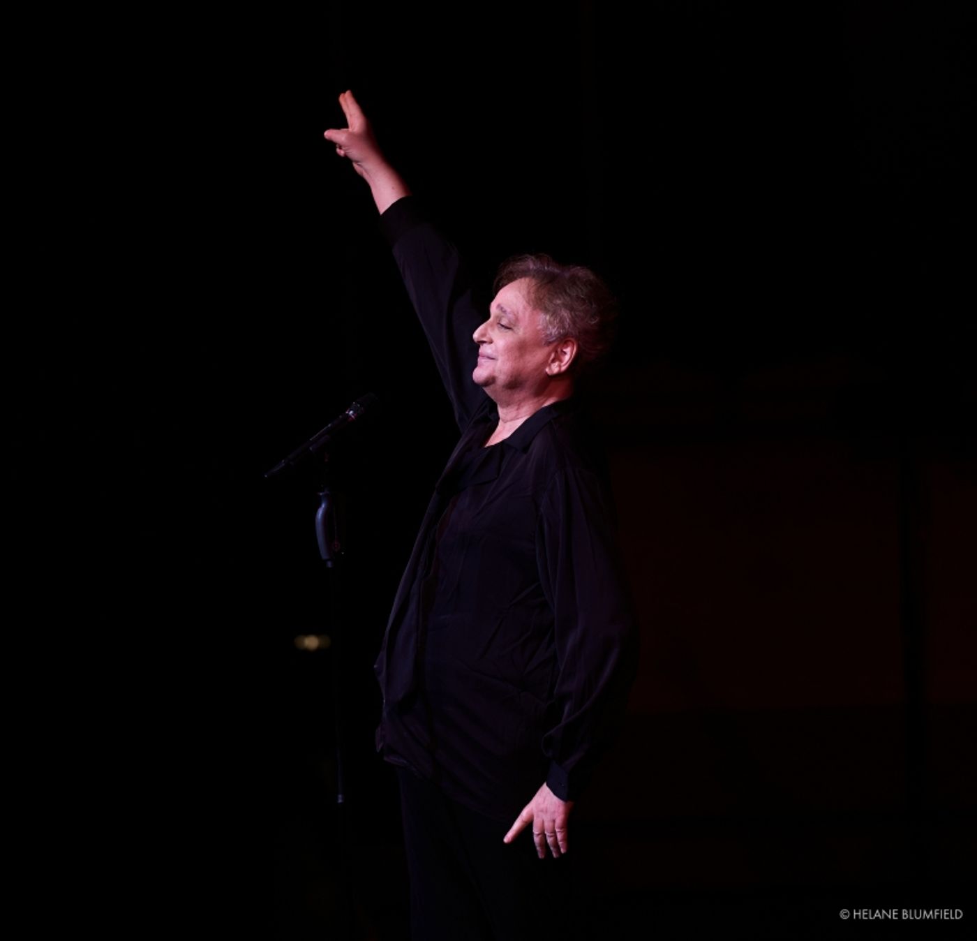 Photo Flash:  Helane Blumfield's Camera Captures THE MELODY LINGERS ON, The 2021 Cabaret Convention at Rose Hall  Image