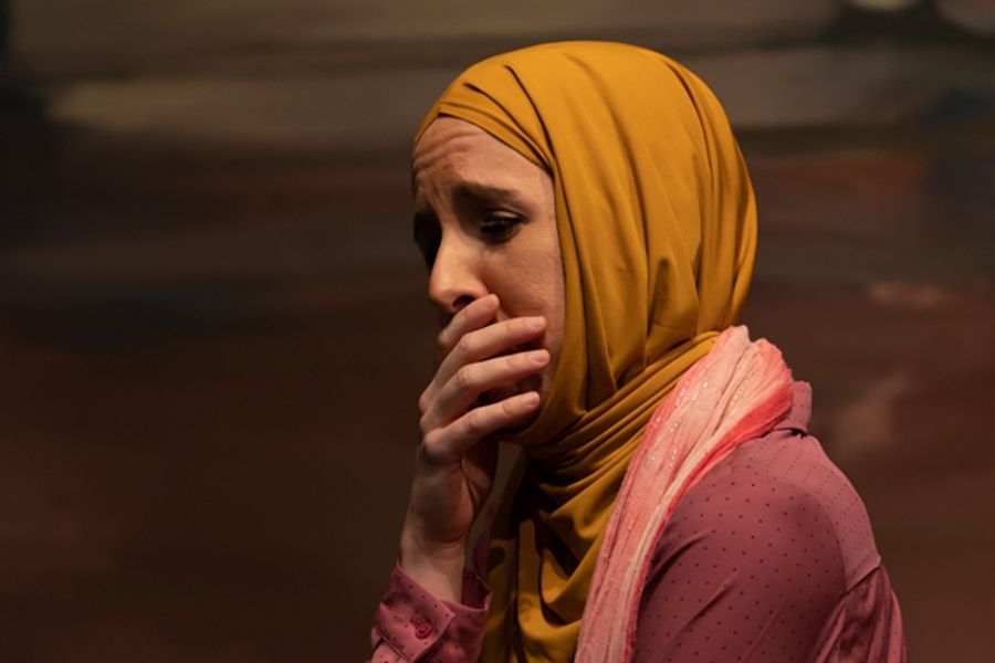 Photos: First Look at Original Productions Theatre's BOUND FOR ALBANIA  Image