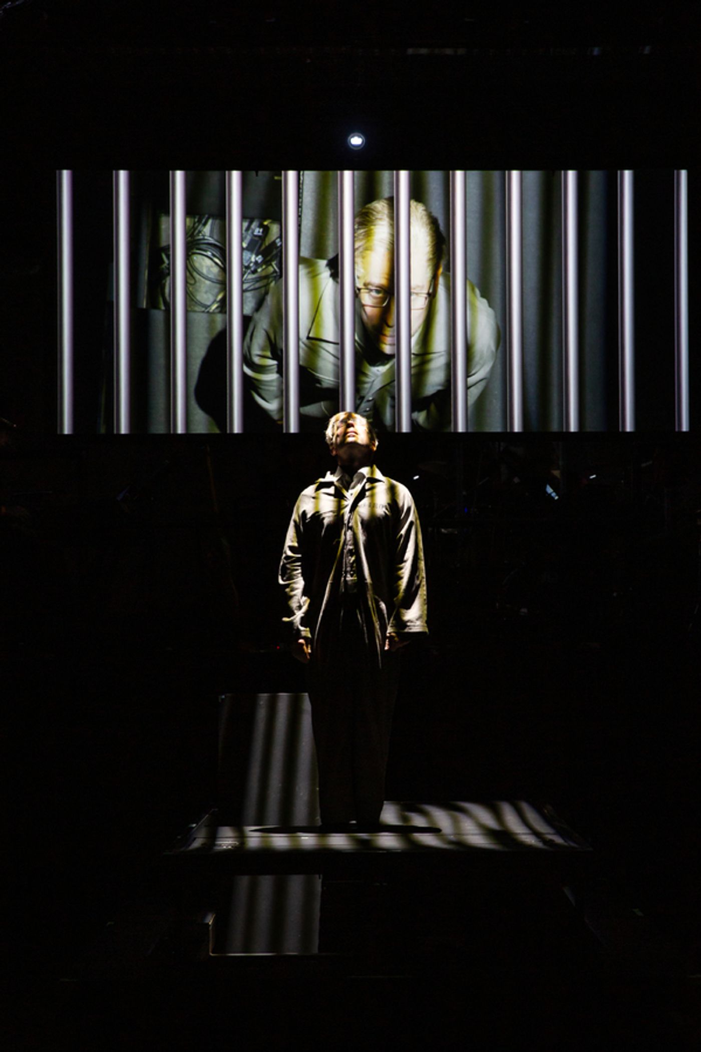 Photos: Theater 555 Presents A TURTLE ON A FENCE POST  Image