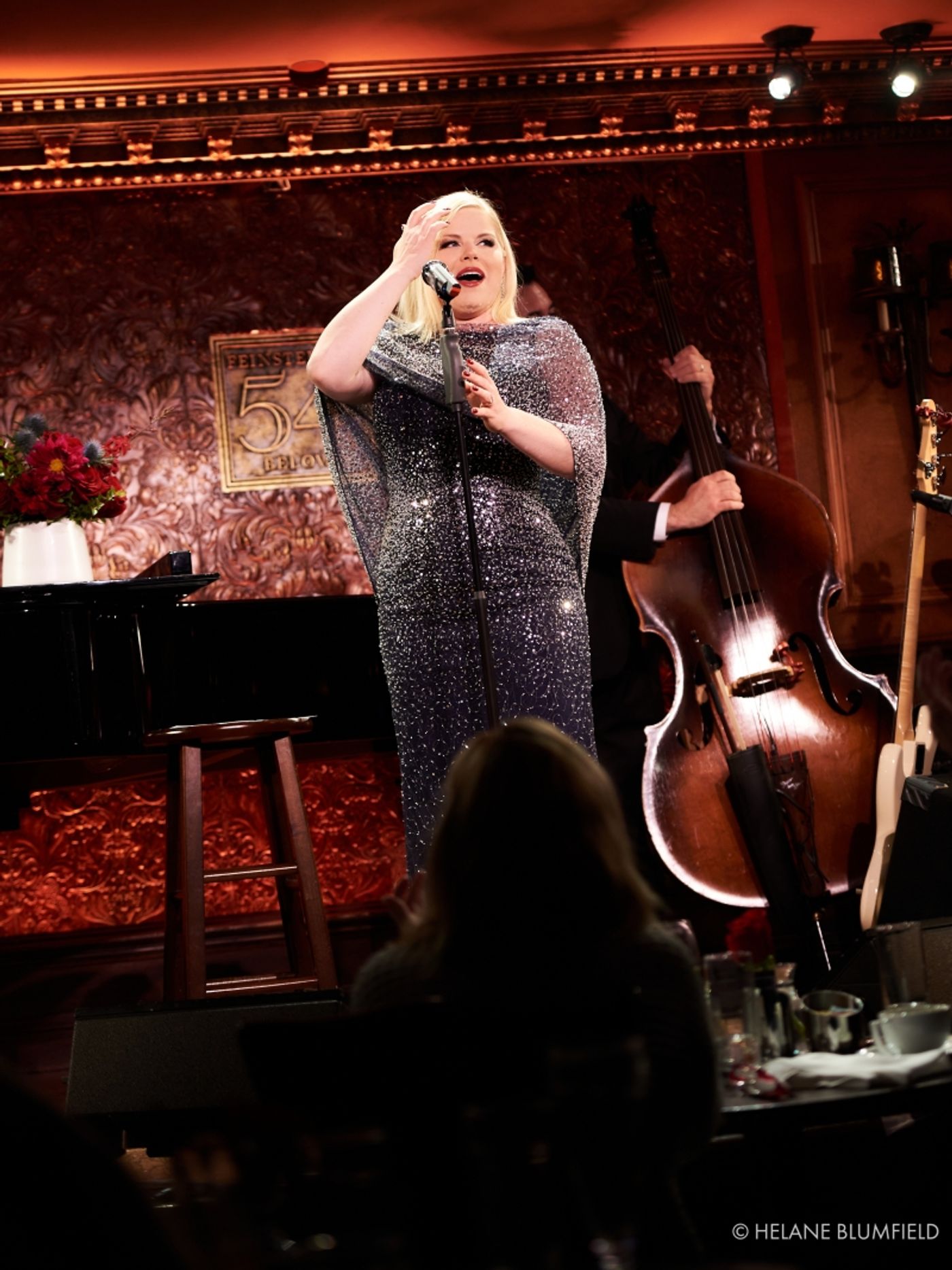 Photo Flash: MEGAN HILTY: DIAMOND SERIES at Feinstein's/54 Below Captured by Helane Blumfield Photo Flash: MEGAN HILTY: DIAMOND SERIES at Feinstein's/54 Below Captured by Helane Blumfield Image
