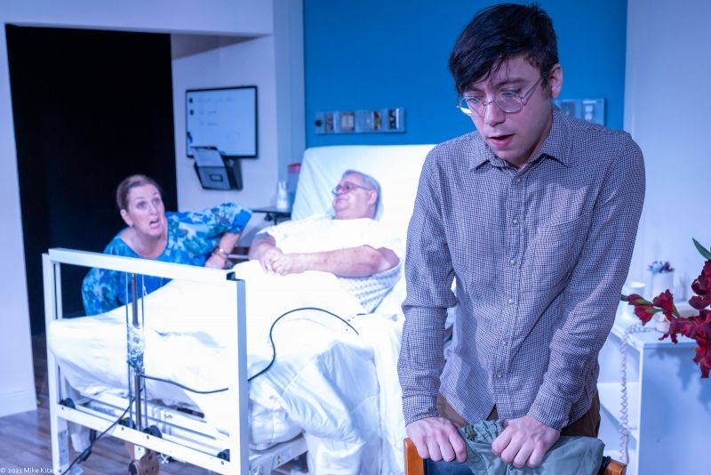 Review: THE LYONS at The Ensemble Company  Image