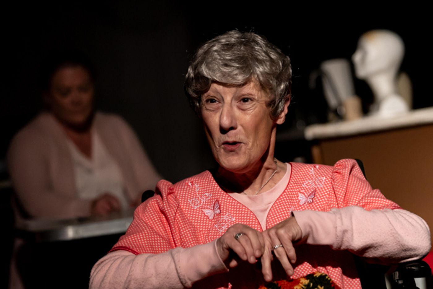 Photos: First look at Performing Arts Creative Ensemble's THE SHADOW BOX  Image