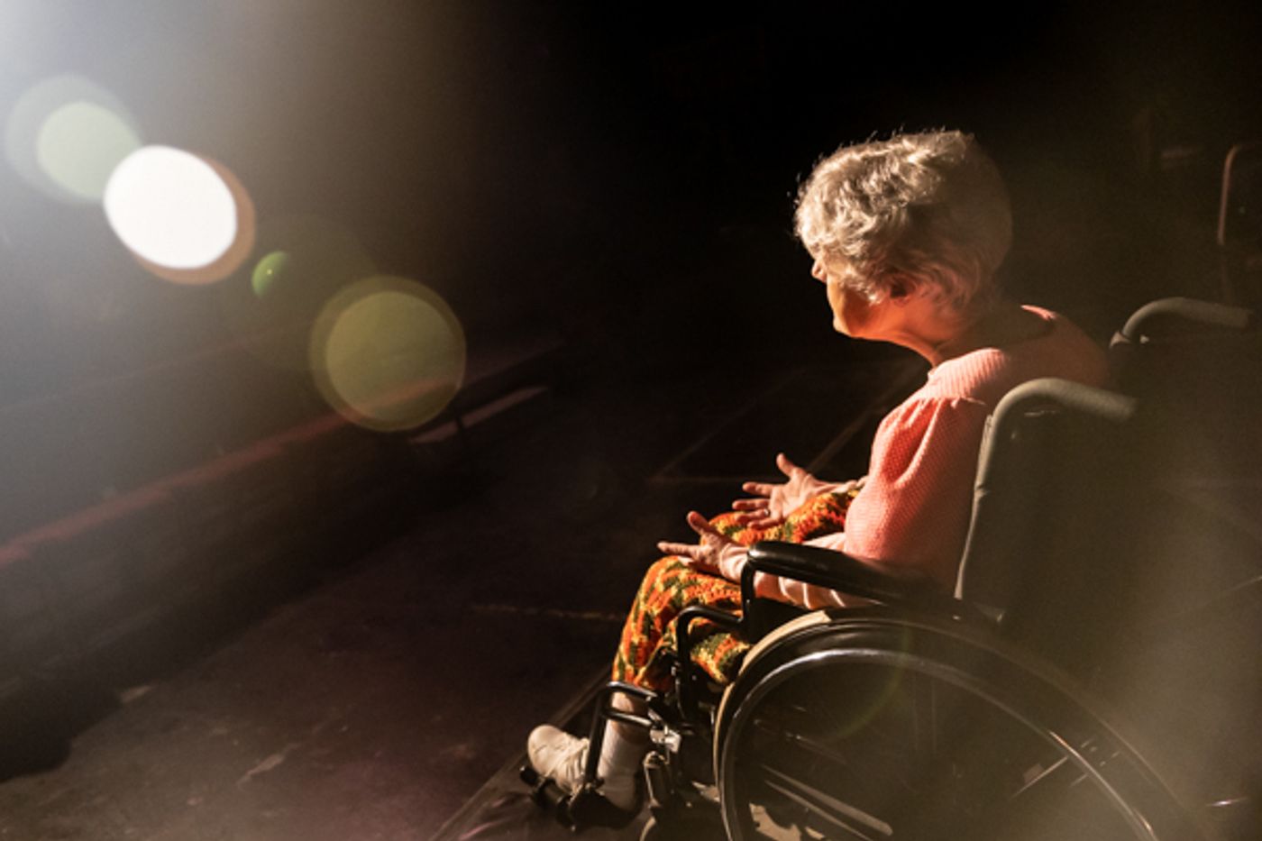 Photos: First look at Performing Arts Creative Ensemble's THE SHADOW BOX  Image