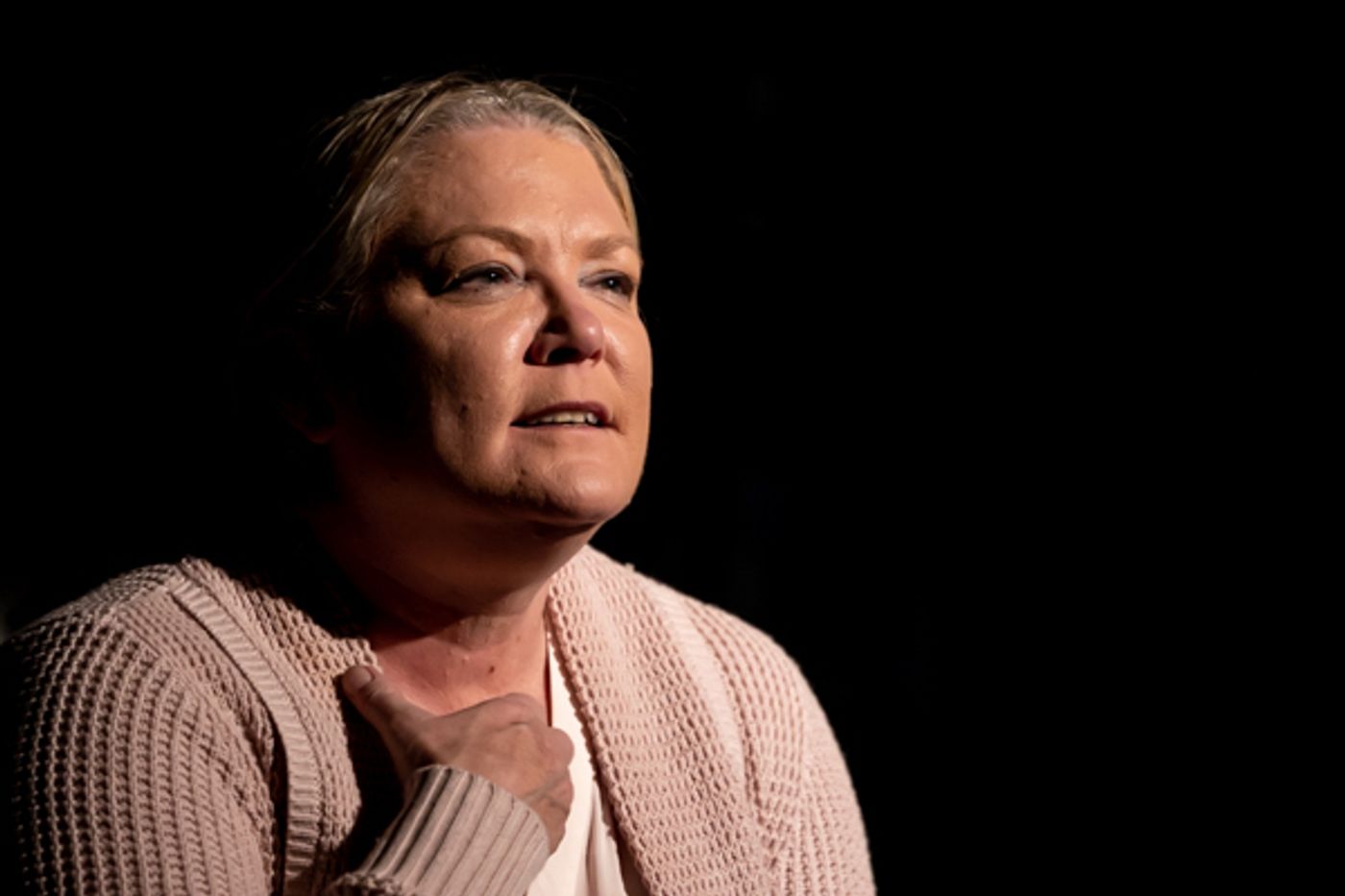 Photos: First look at Performing Arts Creative Ensemble's THE SHADOW BOX  Image