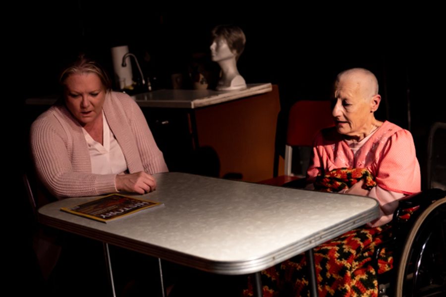 Photos: First look at Performing Arts Creative Ensemble's THE SHADOW BOX Image