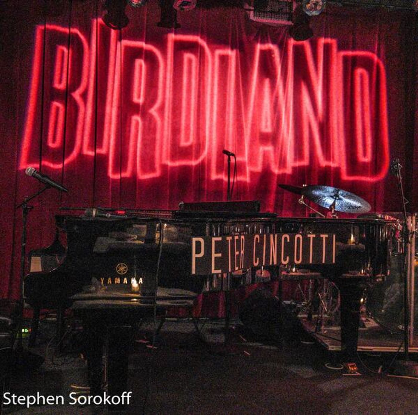 Photo Coverage: Peter Cincotti Plays Birdland  Image