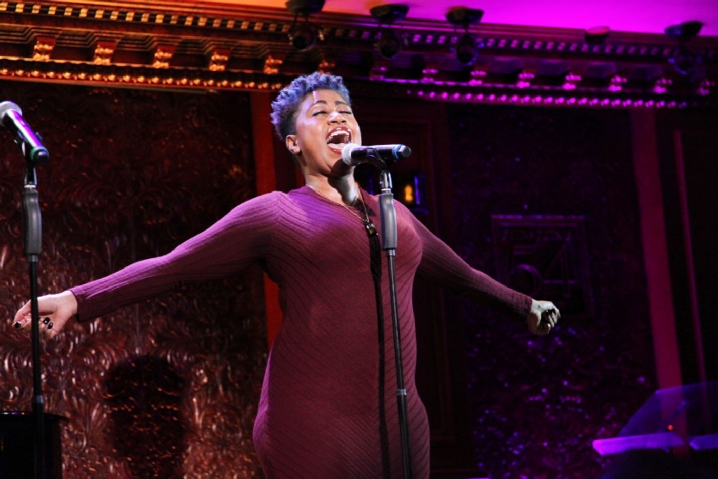 Review: THE SONGS OF HOWARD ASHMAN Brings Fun to the 9:45 Slot at Feinstein's/54 Below  Image