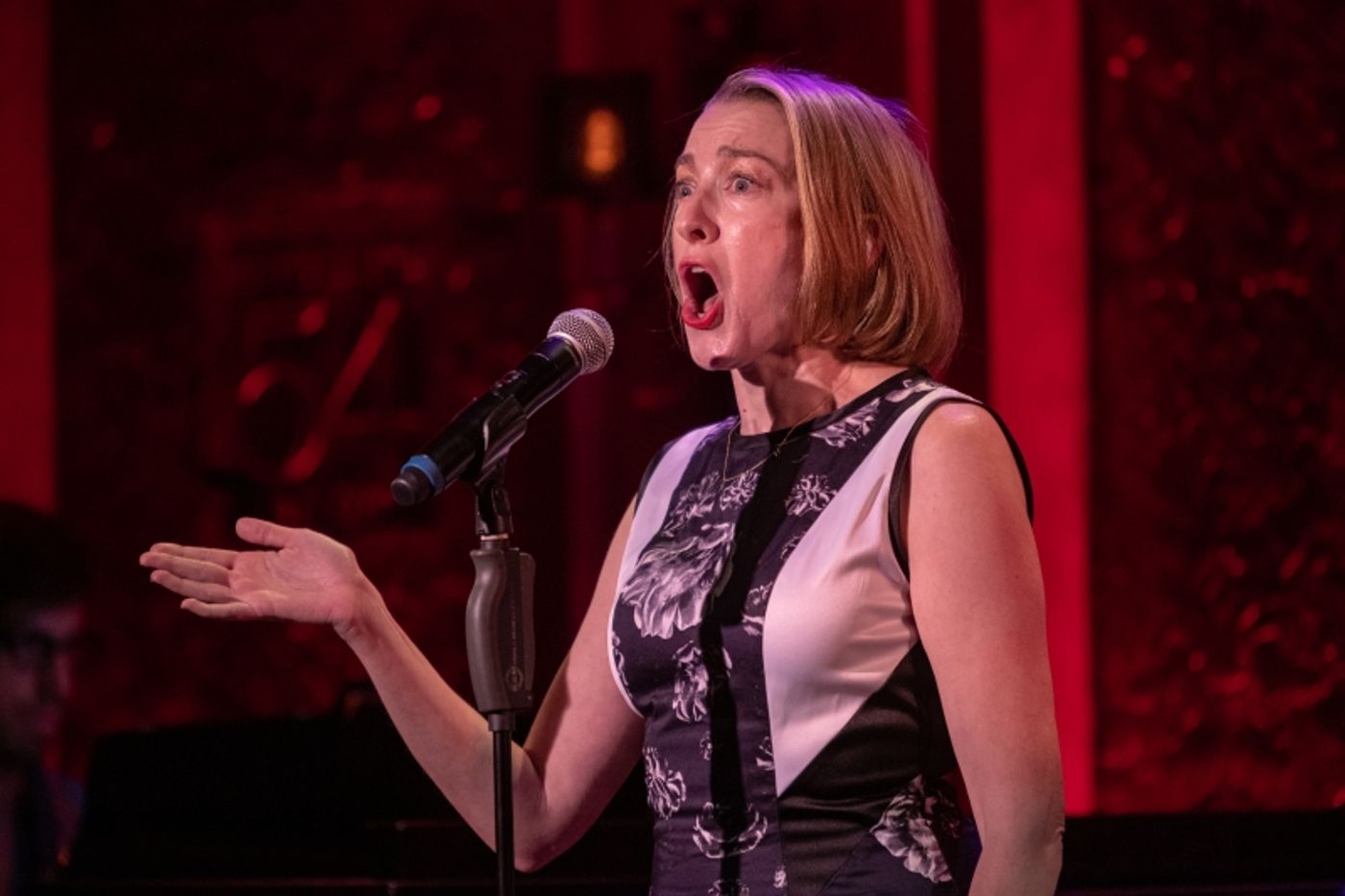 Photo Flash:  Thomas Salus Lenses THE SONGS OF HOWARD ASHMAN at Feinstein's/54 Below  Image