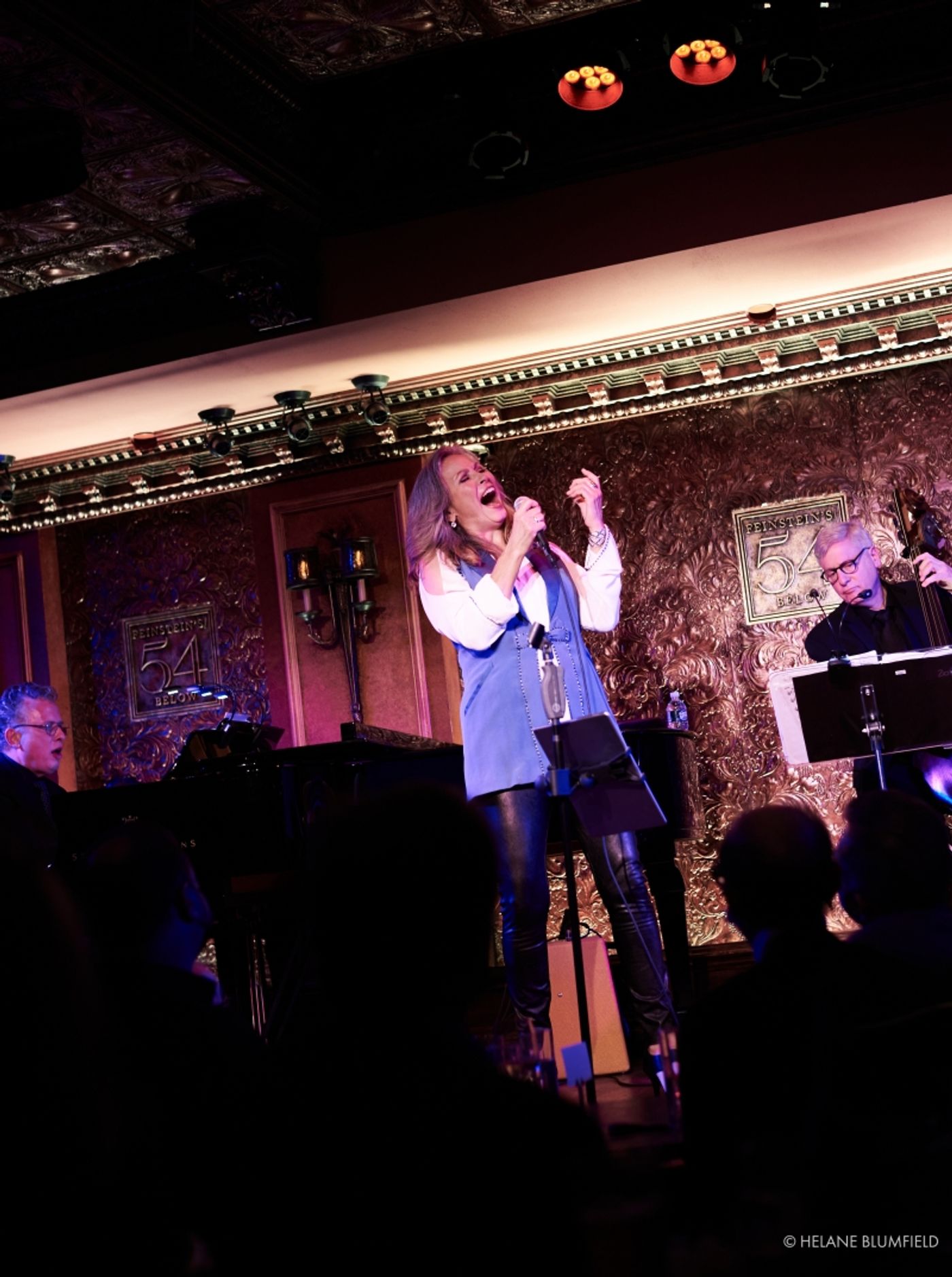 Photo Flash: LINDA EDER's Return To Feinstein's/54 Below Is Photographed by Helane Blumfield Photo Flash: LINDA EDER's Return To Feinstein's/54 Below Is Photographed by Helane Blumfield Image