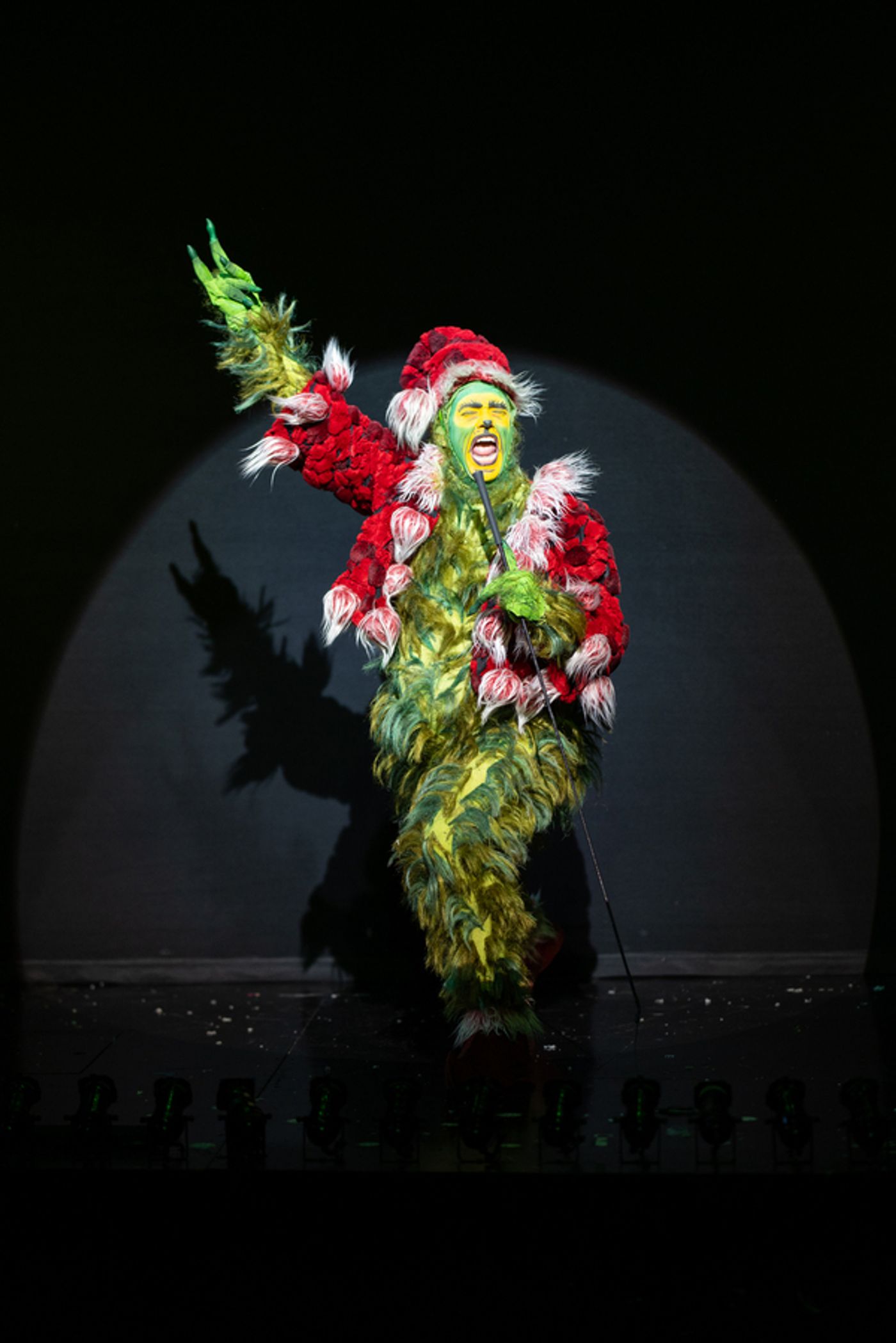 Photos: First Look at HOW THE GRINCH STOLE CHRISTMAS at the Old Globe Theatre  Image