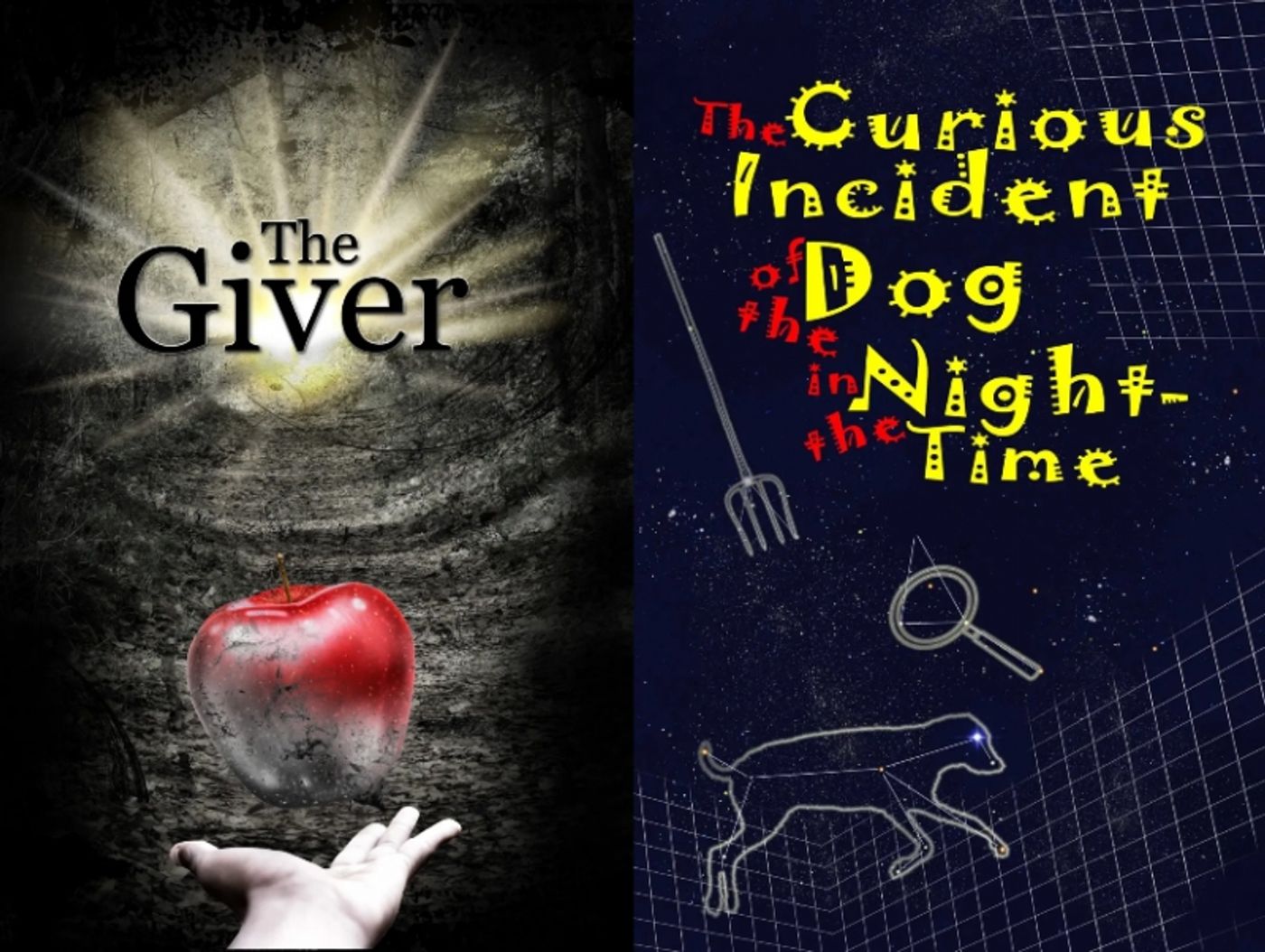 BWW Previews: THINKTANK AND TAMPAREP PARTNER FOR THE GIVER AND THE CURIOUS INCIDENT OF THE DOG IN THE NIGHT at Stageworks Theatre  Image