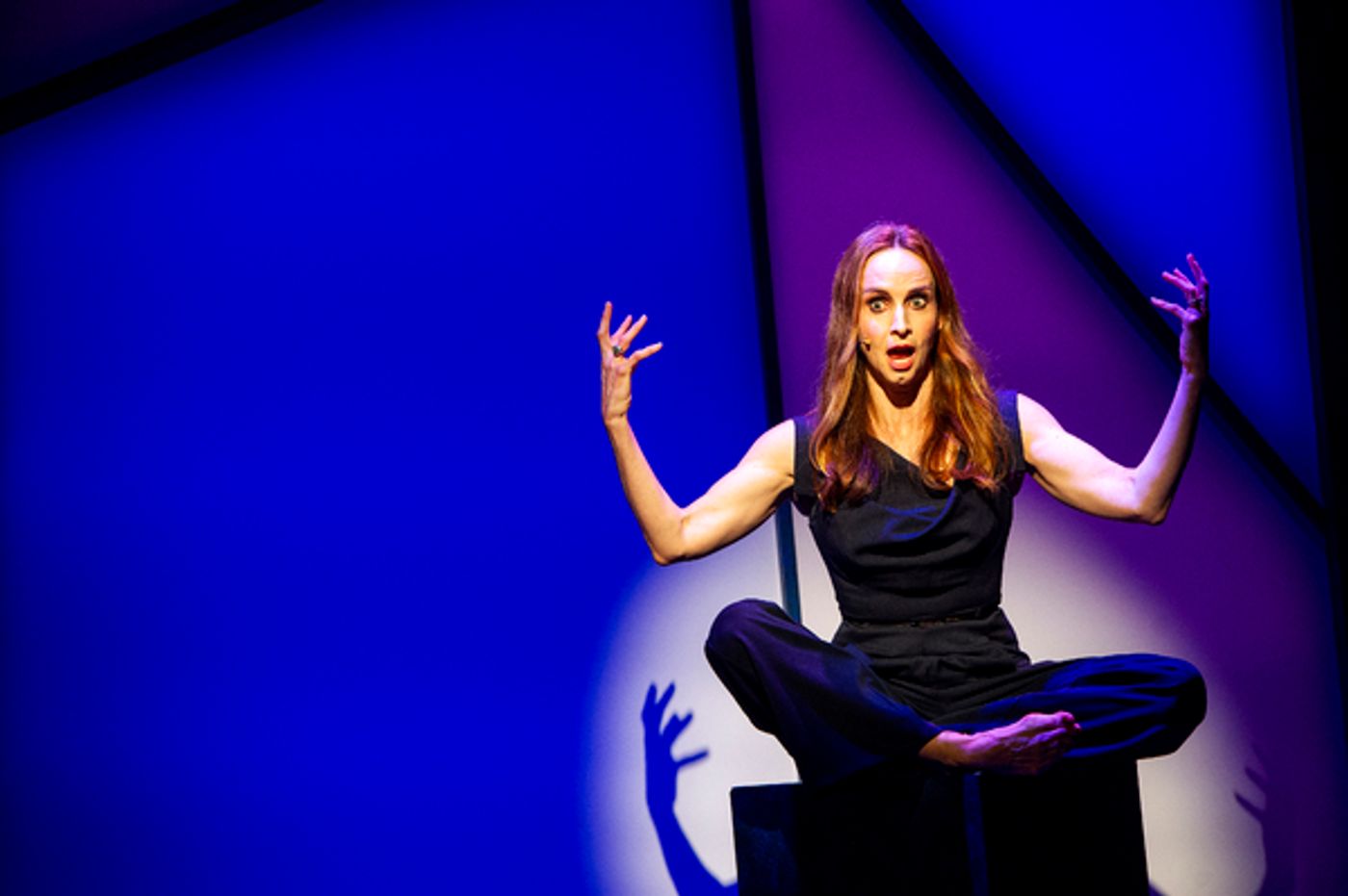 Photos: First Look at Faith Salie in APPROVAL JUNKIE at Audible's Minetta Lane Theatre  Image