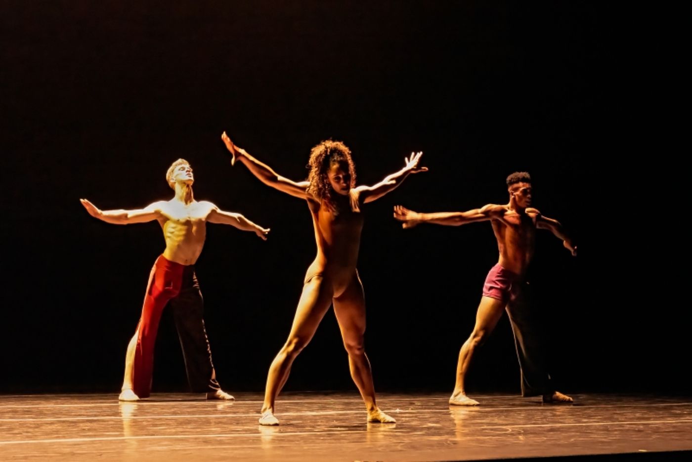 Review: COMPLEXIONS CONTEMPORARY BALLET: SNATCHED BACK FROM THE EDGES at The Joyce Theater  Image