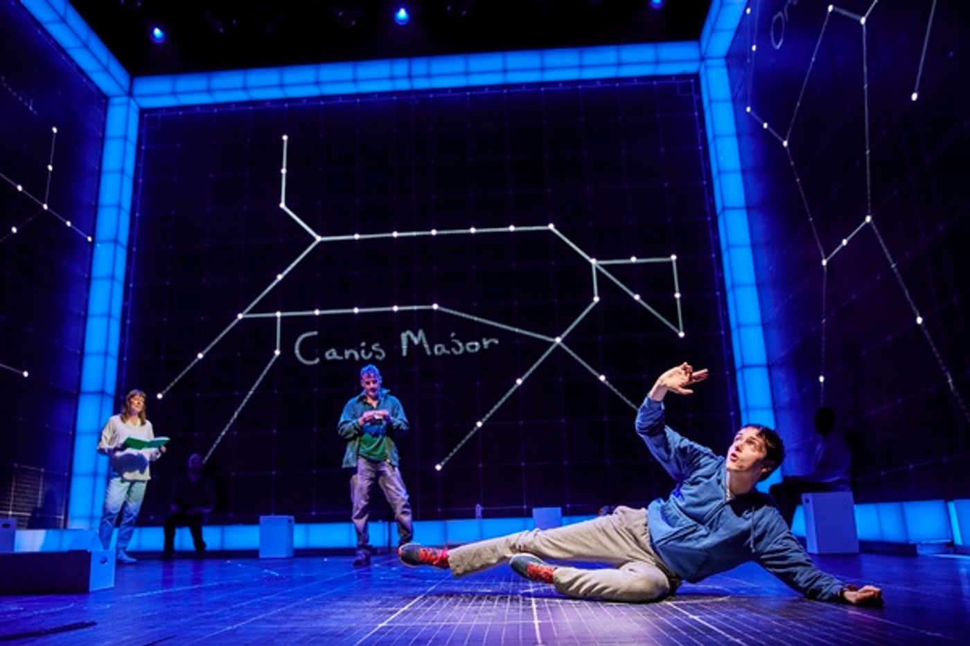 Photos: First Look at THE CURIOUS INCIDENT OF THE DOG IN THE NIGHT-TIME  Image