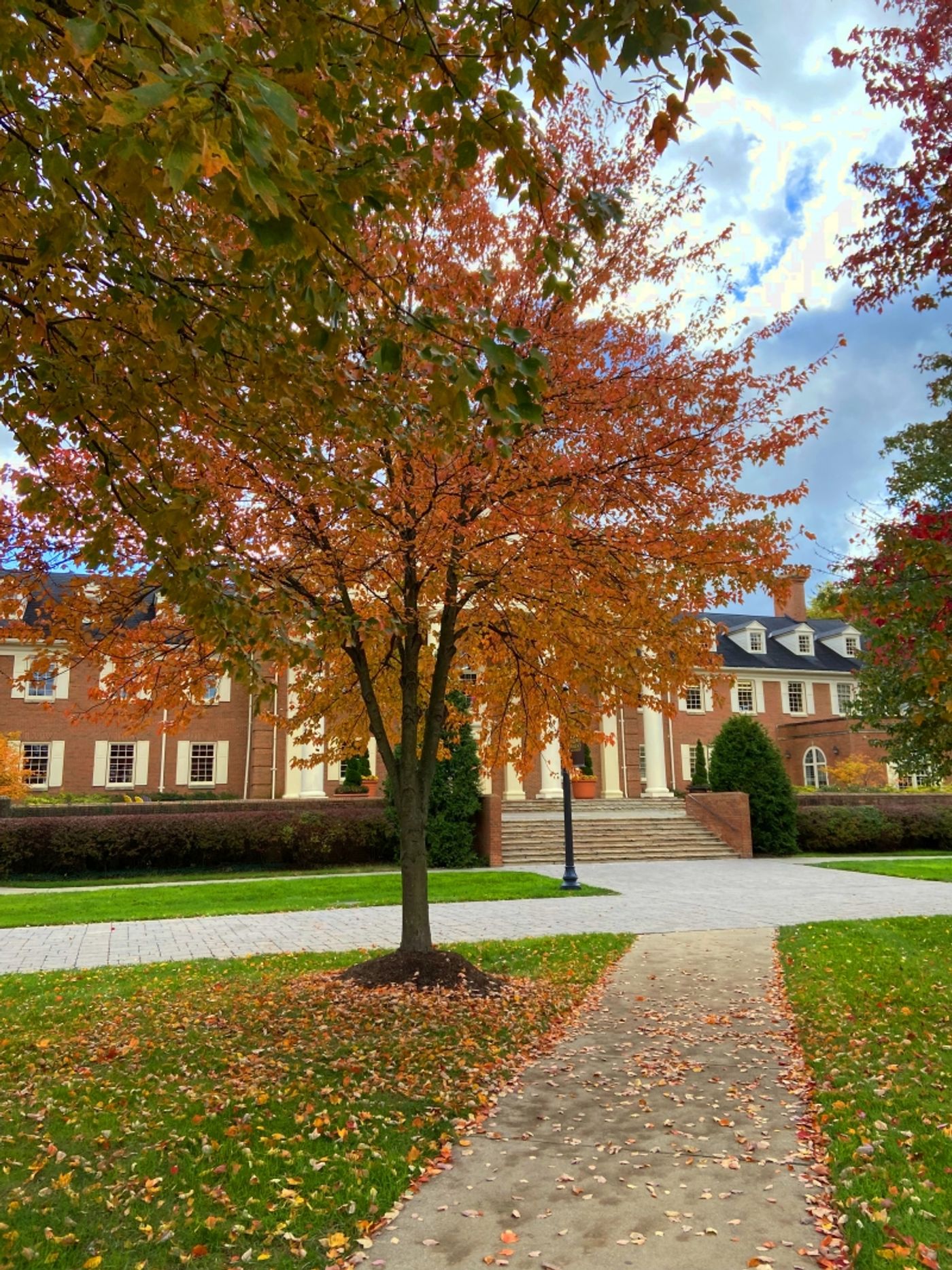 Student Blog: Baldwin Wallace University Students Do Sondheim Proud - Frosty's World #17  Image