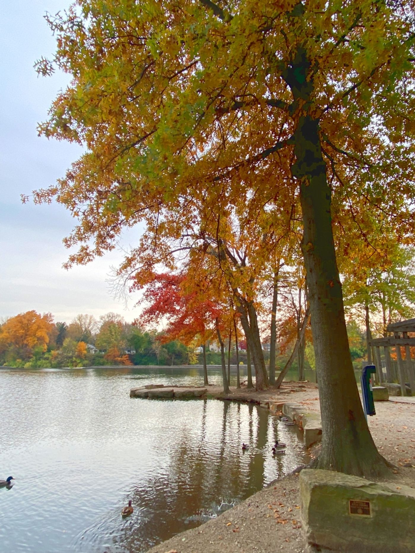 Student Blog: Baldwin Wallace University Students Do Sondheim Proud - Frosty's World #17  Image