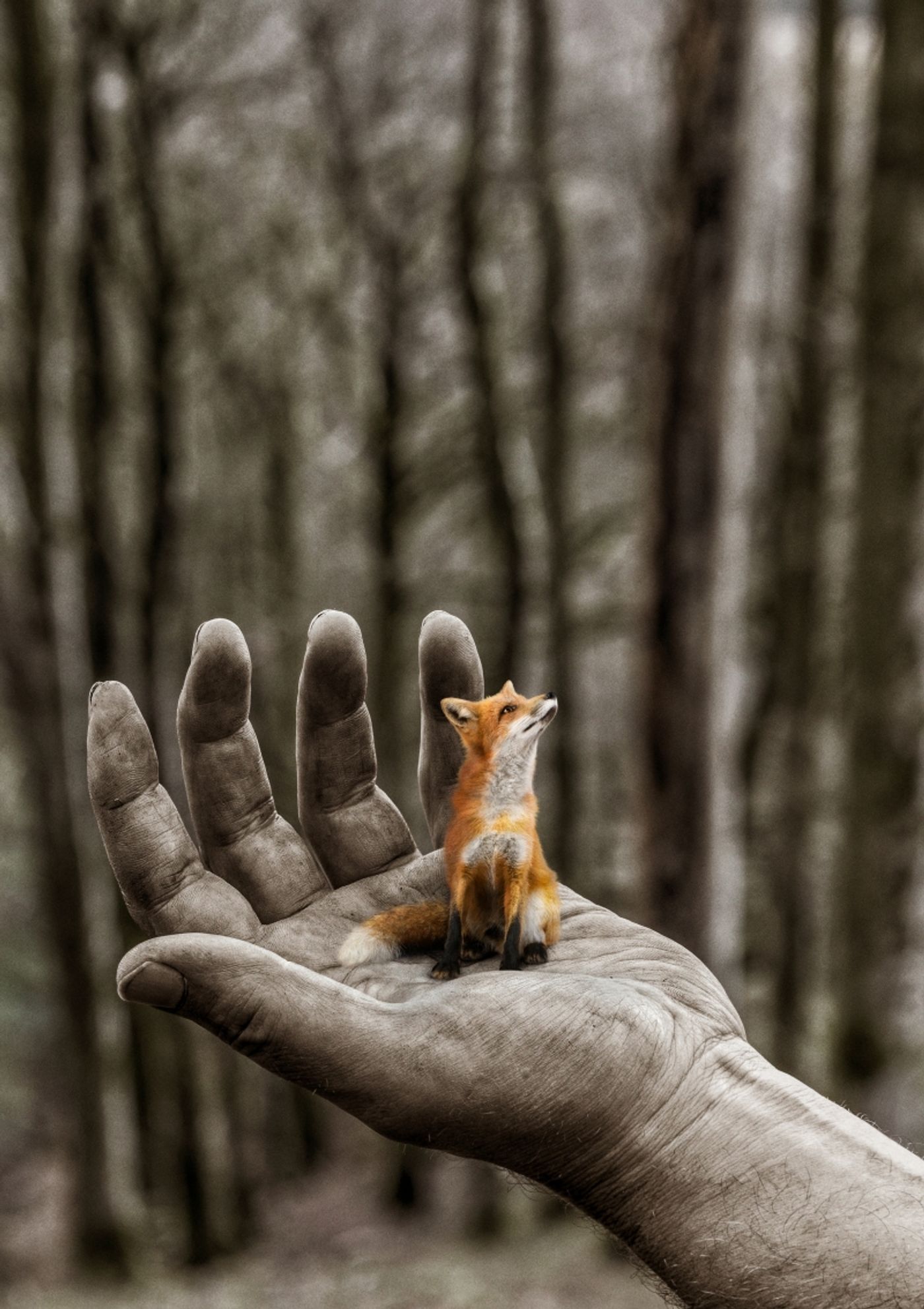 Guest Blog: English National Opera's Amy Powell On Relaxed Performances  Image