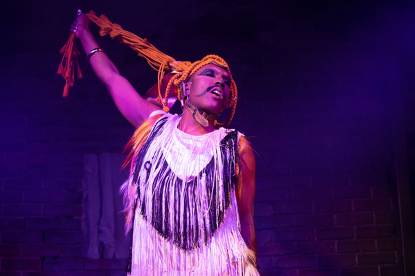 Photos: First Look at DOG SHOW at The Pleasance  Image